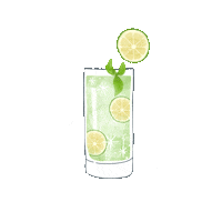 tailcocktail cocktail 칵테일 칵테일mbti 터틀칵테일 Sticker