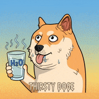 Shiba Inu Drinking GIF by Doge Pound