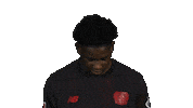 Look Up Bayer Leverkusen Sticker by Bundesliga