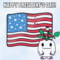 United States Vote GIF by Magic Eden