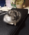 GIF by Digg