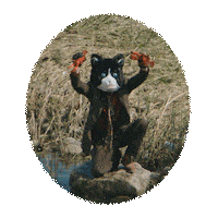 Burger Records Yes Sticker by Greenway Records