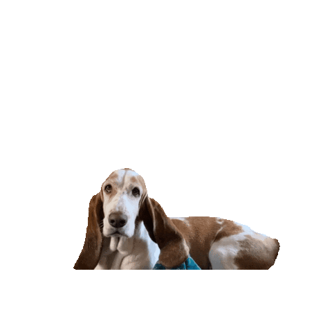 magicplustravel  Sticker