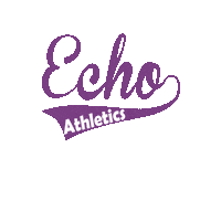 Echo Kickball Sticker by echoathletics