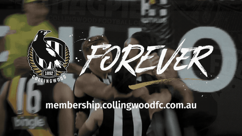 collingwood magpies goal GIF by CollingwoodFC