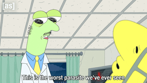 The Worst Wtf GIF by Adult Swim