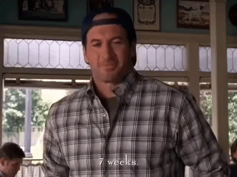 season 5 netflix GIF by Gilmore Girls 
