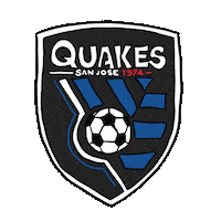 World Cup Soccer Sticker by mackelangelo