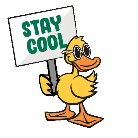 Car Wash Duck Sticker by Quick Quack