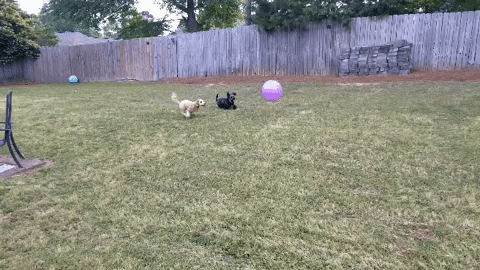 rocket league ball GIF