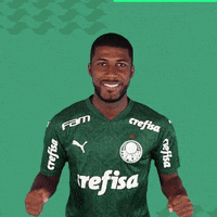 Puma Santos GIF by SE Palmeiras