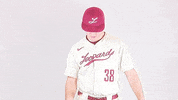 Ethan GIF by Lafayette Leopards