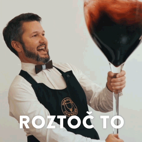 jstavek giphyupload jstavek vinojstavek janstavek GIF