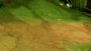 Mouse Moss GIF