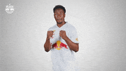 Football Sport GIF by FC Red Bull Salzburg