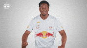Football Sport GIF by FC Red Bull Salzburg