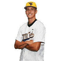 Baseball Sticker by WVU Tech Golden Bears