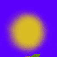Senate Race Peach GIF by Creative Courage