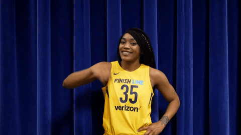 basketball sport GIF by Indiana Fever