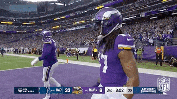 Minnesota Vikings Football GIF by NFL