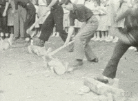 Chopping Logs GIF by CRDI. Ajuntament de Girona