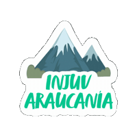 Injuv Chile Sticker by INJUV