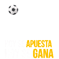 NetabetMx  Sticker