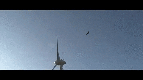 windmills downside GIF