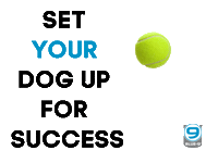 Dog Trainer Success Sticker by Blue9PetProducts