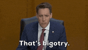 Senate Judiciary Committee GIF by GIPHY News