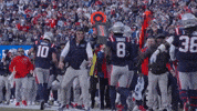 Mike Vrabel Football GIF by New England Patriots