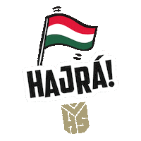 honvedelmi_sport hajra hsport honvedelmisport Sticker