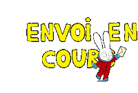 Message Envoyer Sticker by Simon Super Rabbit