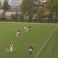 Ajaxo13 GIF by AFC Ajax