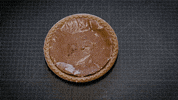 uga pi day GIF by University of Georgia