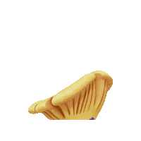 Peek A Boo Friday Sticker by Mushmushfun