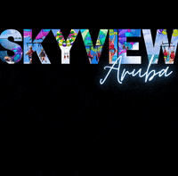 GIF by parasailinginaruba