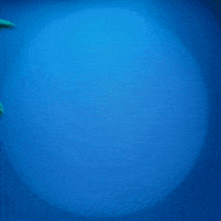 Dance Dancing GIF by Danny Ocean