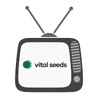 Seed Semente Sticker by Bela Sementes