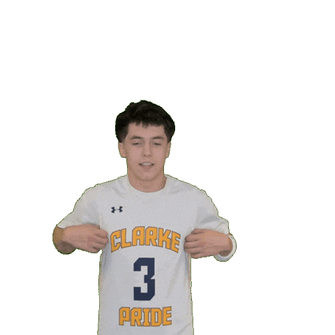 Mens Basketball Sticker by Clarke University