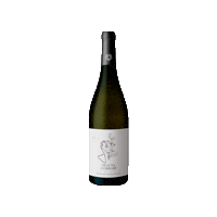 kitostudio wine lugana luganalover corbari Sticker