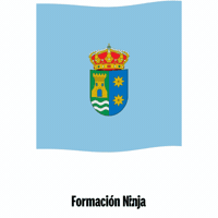 Castilla Y Leon Flag GIF by Formación Ninja