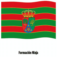 Castilla Y Leon Flag GIF by Formación Ninja
