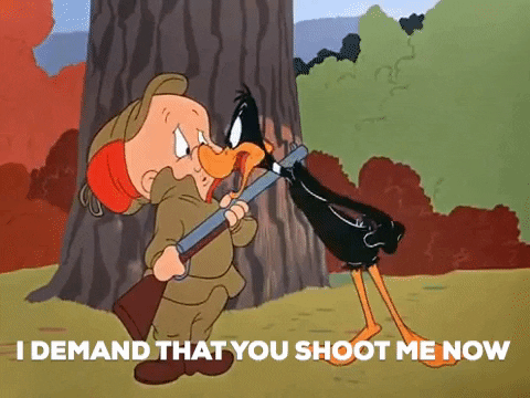 laughingacademy giphygifmaker daffy duck elmer fudd rabbit seasoning GIF