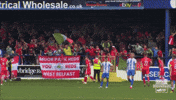 Red Army Celebration GIF by Cliftonville Football Club