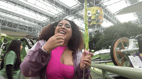What The Hell Wtf GIF