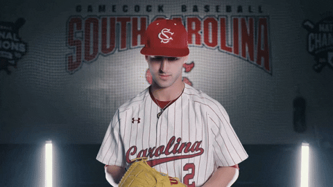 South Carolina Baseball GIF by gamecocksonline