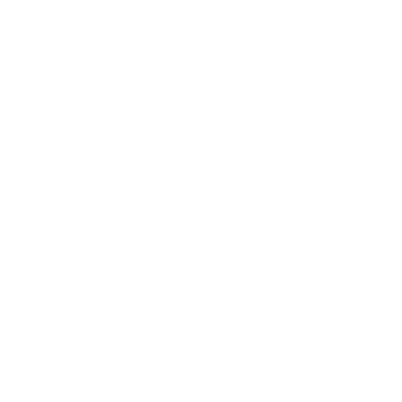 daineseofficial motorbike slider dainese daineseofficial Sticker