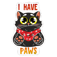 Cat Sticker