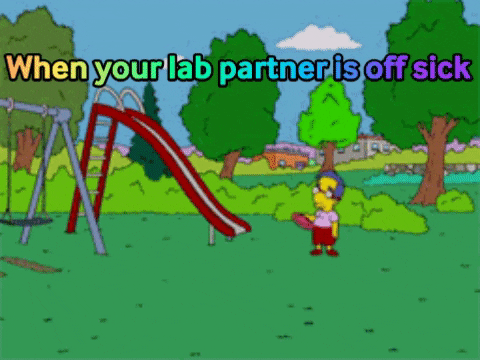 SenecaLearning giphygifmaker giphyattribution seneca GIF